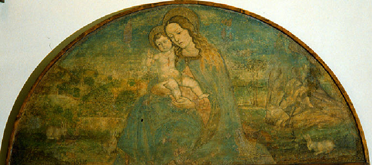 Madonna con Bambino (dipinto, opera isolata) di Ferramola Floriano (primo quarto sec. XVI)