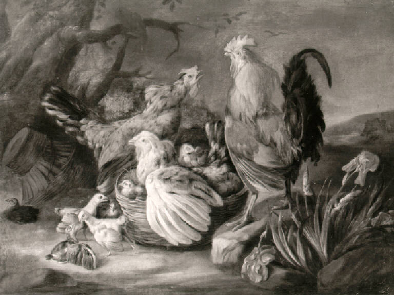 Chioccia con pulcini in un cesto (dipinto, opera isolata) di Duranti Giorgio (sec. XVIII)