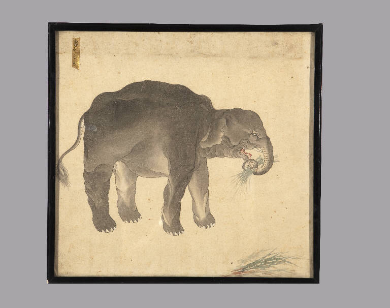 Elefante (dipinto) - manifattura giapponese (sec. XIX)