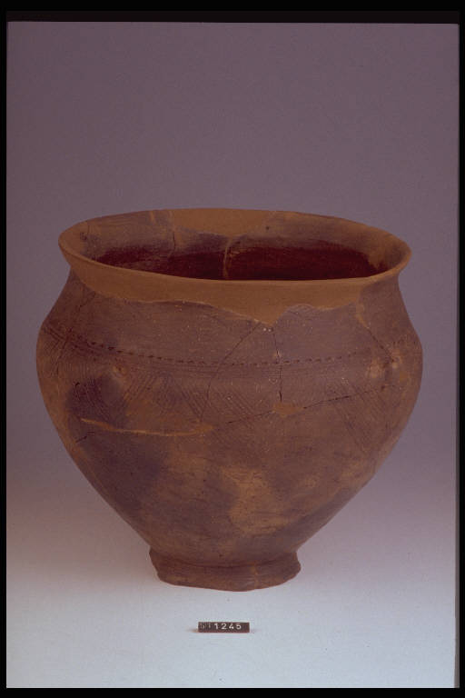 urna biconica - cultura di Golasecca (sec. X a.C)