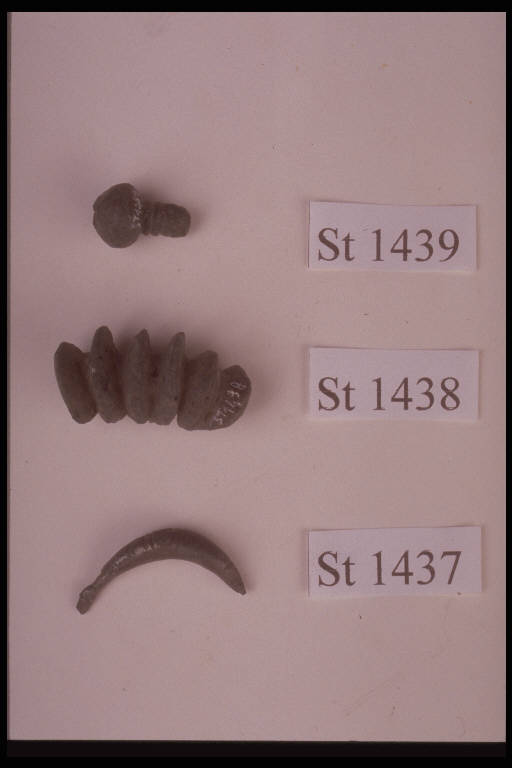 fibula a sanguisuga - cultura di Golasecca (fine/ inizio secc. VI/ V a.C)