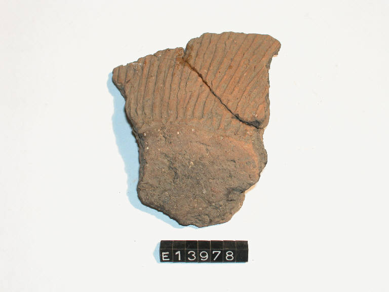 vaso globulare - cultura La Tène (sec. I a.C)