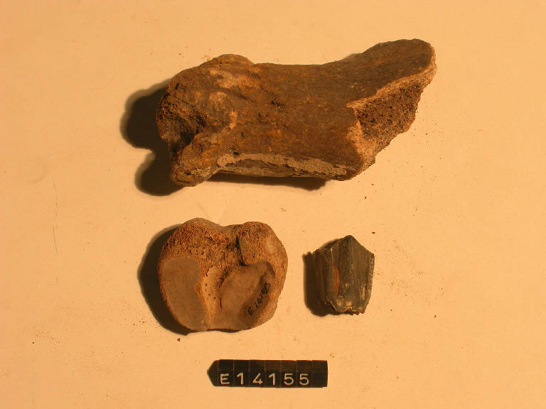 ossi - periodo di età del Ferro (secc. X/ I a.C)
