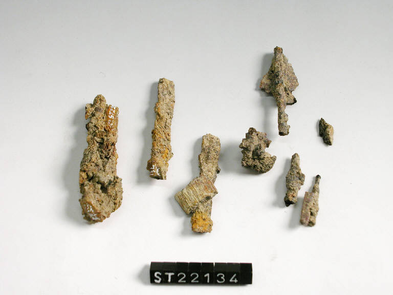 pinzetta - cultura di Golasecca (secc. VIII/ VII a.C)