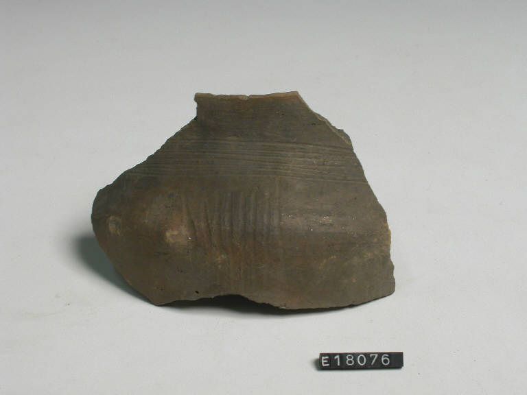 urna - Cultura di Golasecca (secc. X/ IX a.C)