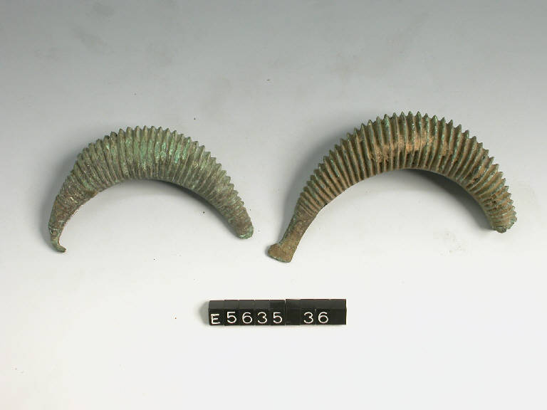 fibula a sanguisuga, DE MARINIS / tipo Mazzucca di Montanaso - cultura di Golasecca (terzo quarto sec. VI a.C)