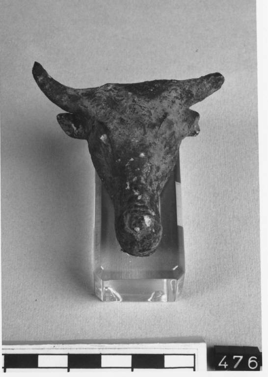 Testa di bovide (statuetta) - produzione romana ellenistica (secc. IV/II a.C)