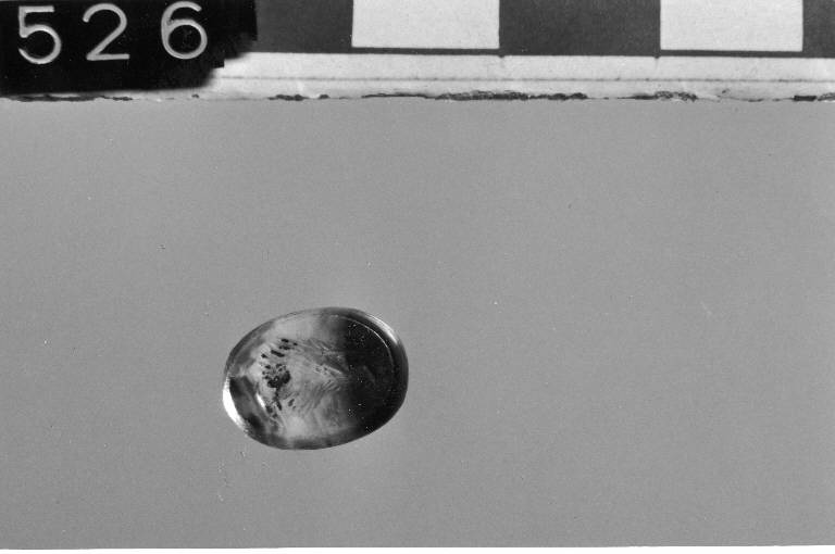 Testa di cinghiale (gemma, DIEHL 9) - età romana protoimperiale (fine sec. I a.C)