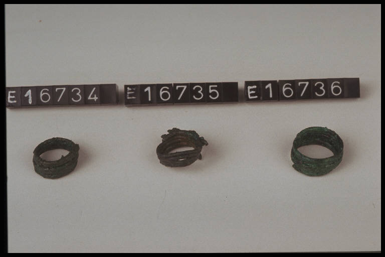 anello a spirale - cultura di Golasecca (secc. VIII/ V a.C)