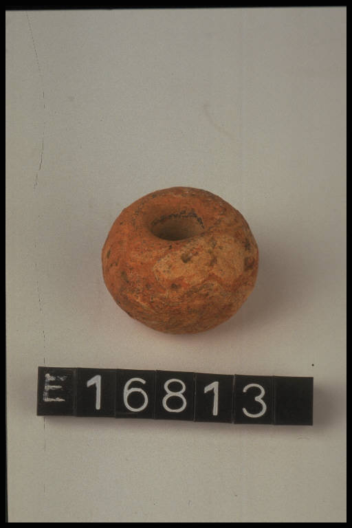 fuseruola - cultura di Golasecca (secc. VIII/ V a.C)