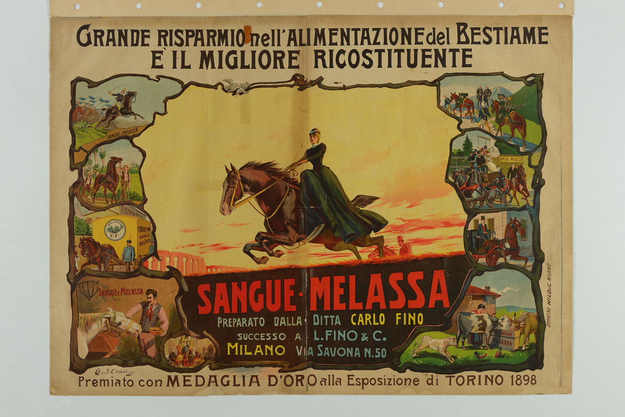 donna a cavallo salta un ostacolo e nove scene che illustrano cavalli e bestiame in ottima forma (manifesto) di Cenni Quinto, Cenni Italo (sec. XX)