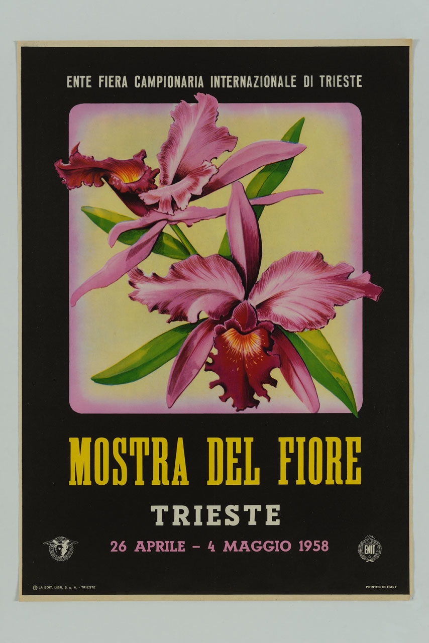 due fiori di iris (locandina) - ambito italiano (sec. XX)