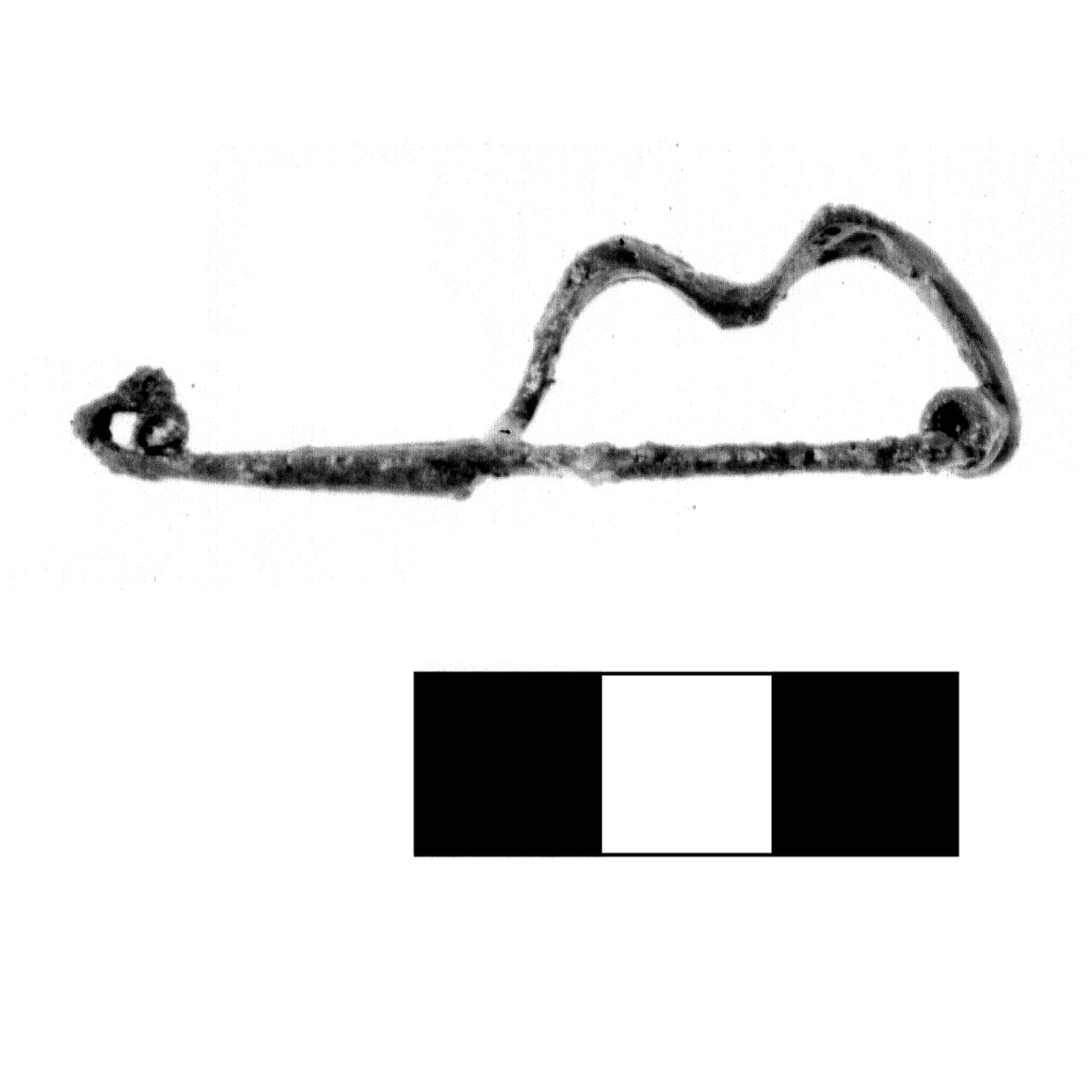 fibula con arco a due gobbe - fase Piceno IV A (sec. VI a.C)