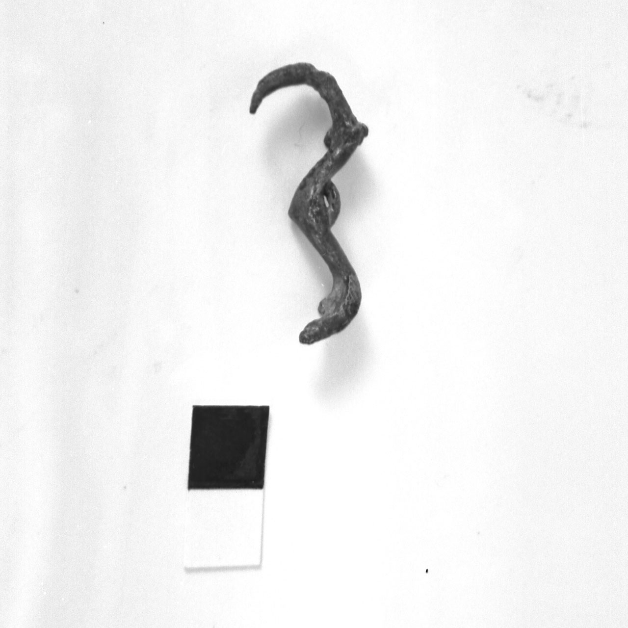 fibula - fase Piceno IV A (sec. VI a.C)