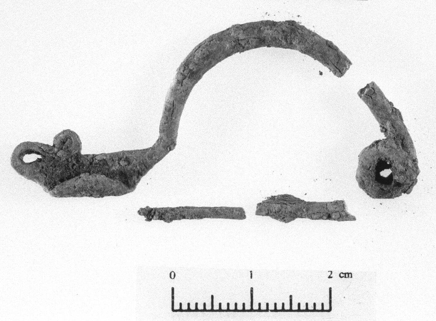 fibula precertosa, tipo pre-Certosa - fase Piceno V (secc. V - IV a.C)