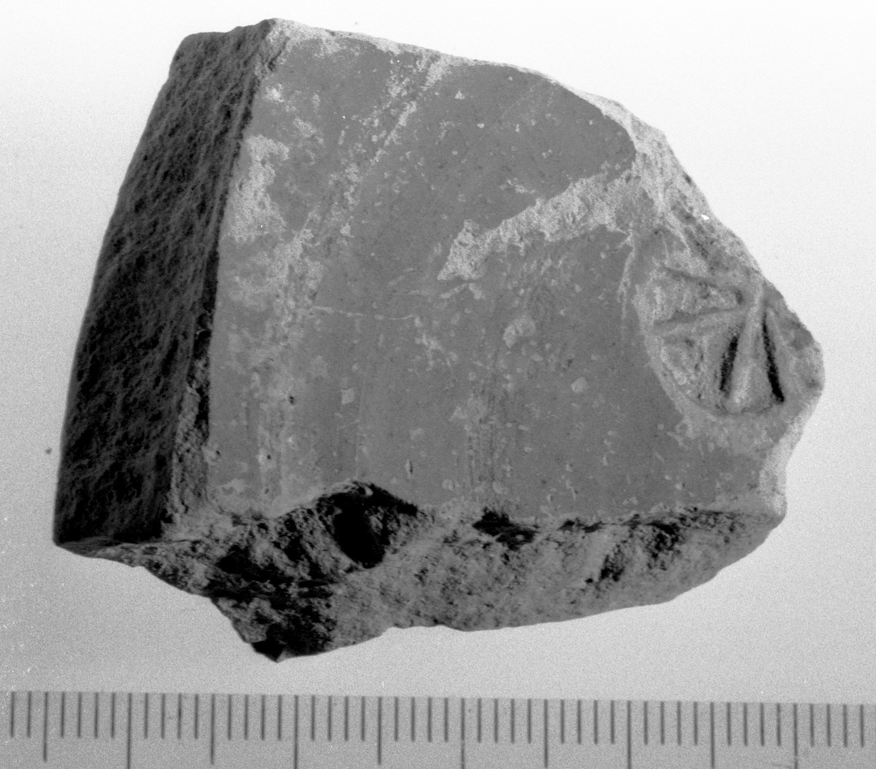 fondo di coppa/ frammento (secc. IV - III a.C)