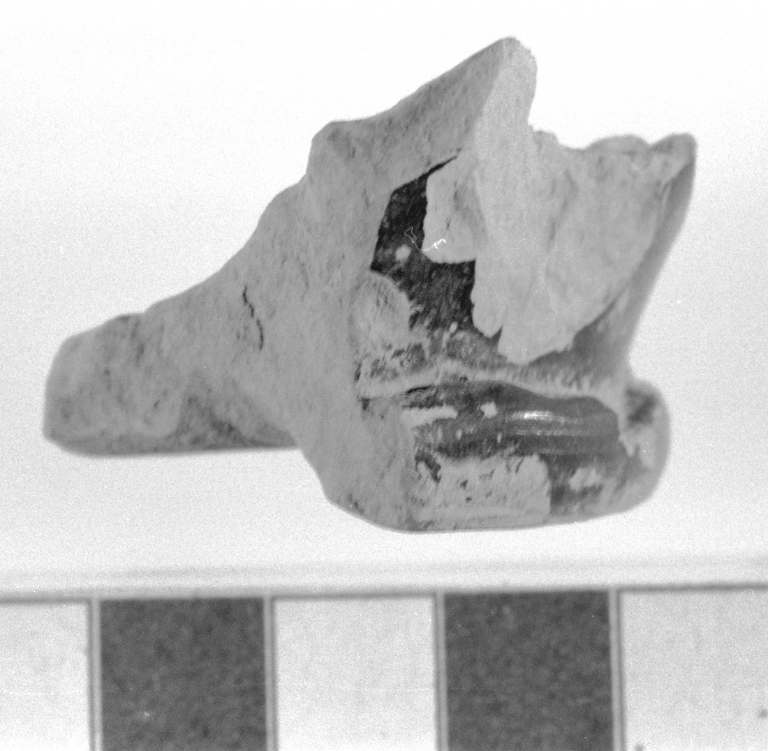 fondo di skyphos/ frammento (secc. IV - III a.C)