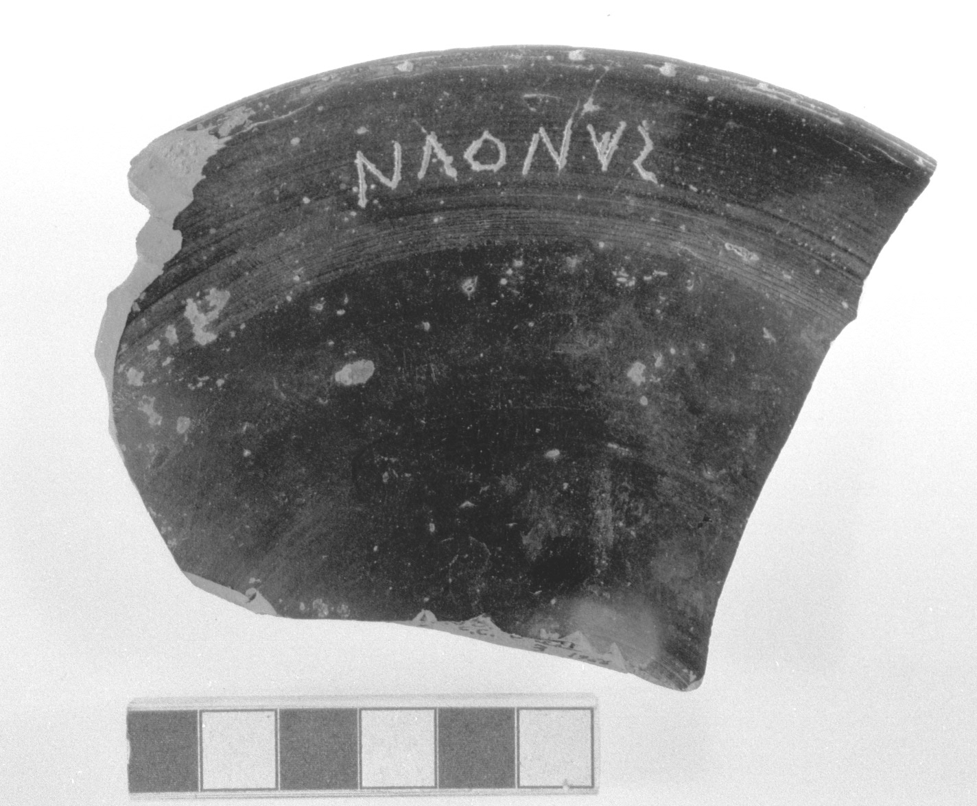 parete di piatto/ frammento (sec. IV a.C)