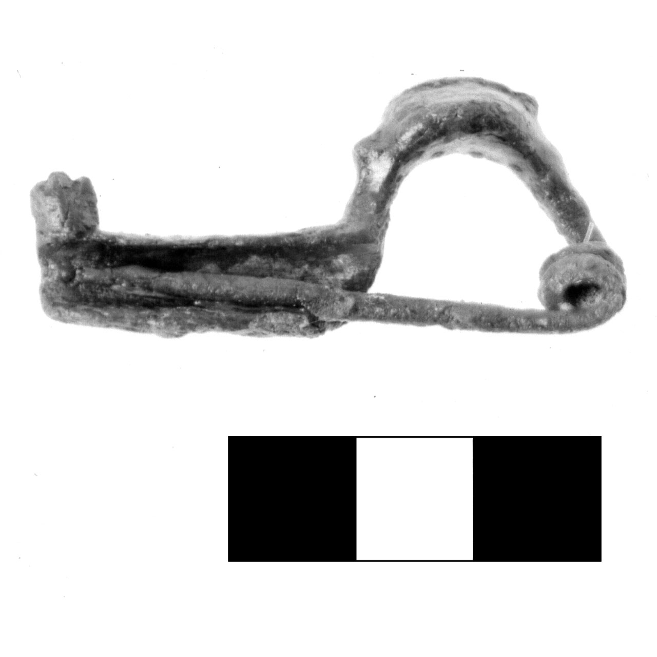 fibula, Tipo San Ginesio - fase Piceno IV A (sec. VI a.C)