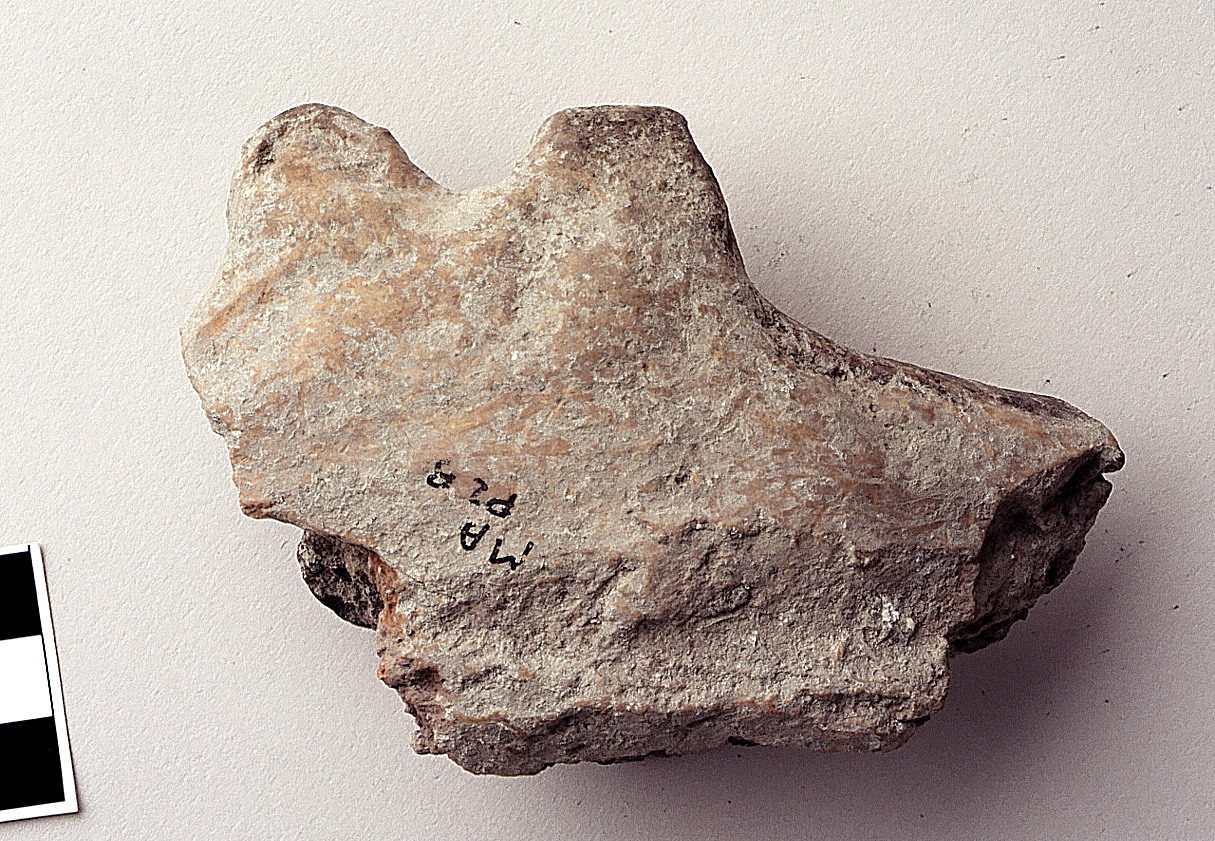 teglia - appenninico-subappenninico (bronzo medio-recente)
