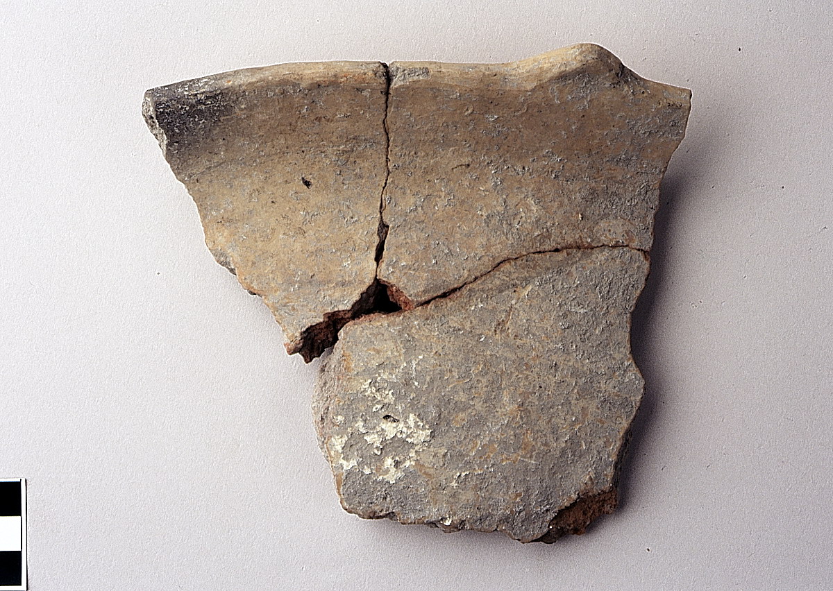 scodellone - appenninico-subappenninico (bronzo medio-recente)