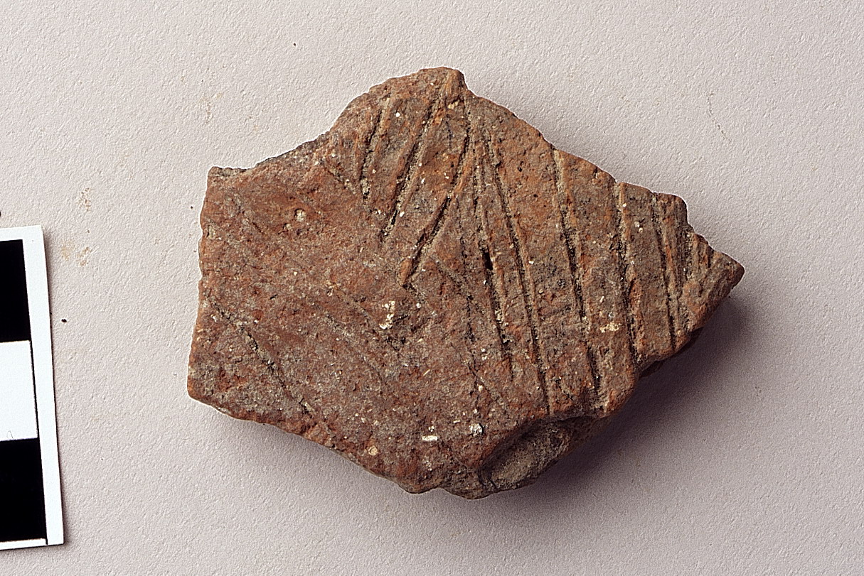 parete di non id - cultura della ceramica impressa medio-adriatica (neolitico antico)