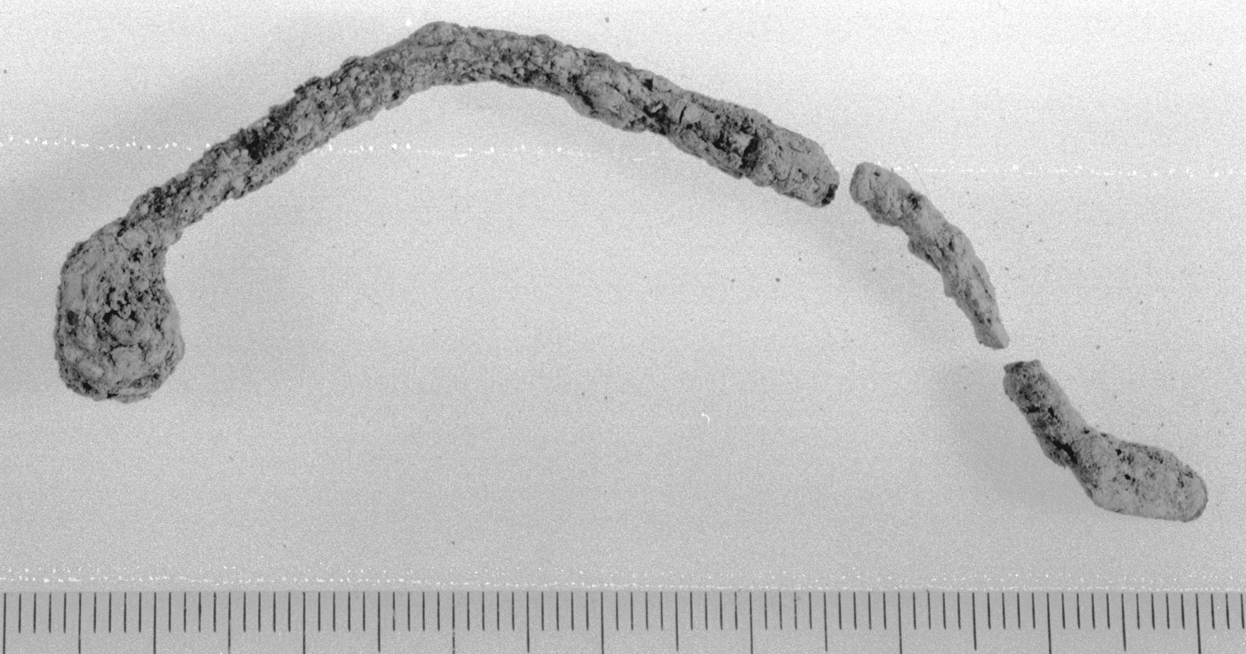 fibula Certosa/ frammenti - fase Piceno IV B (primo quarto sec. V a.C)