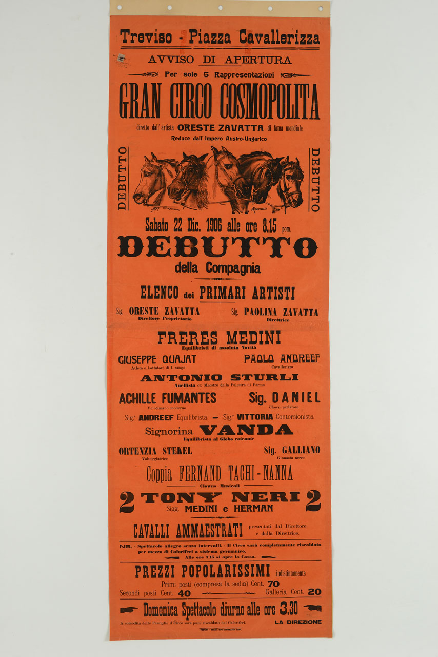 teste di cinque cavalli da circo (manifesto, stampa composita) di Cenni Quinto, Monticelli Mino (sec. XX)
