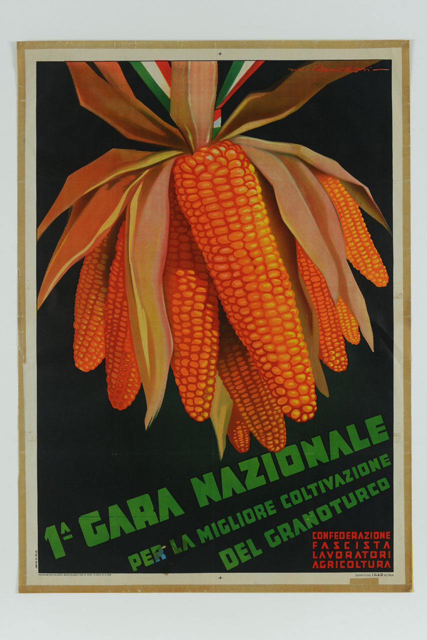 pannocchie di mais riunite in grappolo con nastro tricolore (manifesto) di Roveroni Walter (sec. XX)