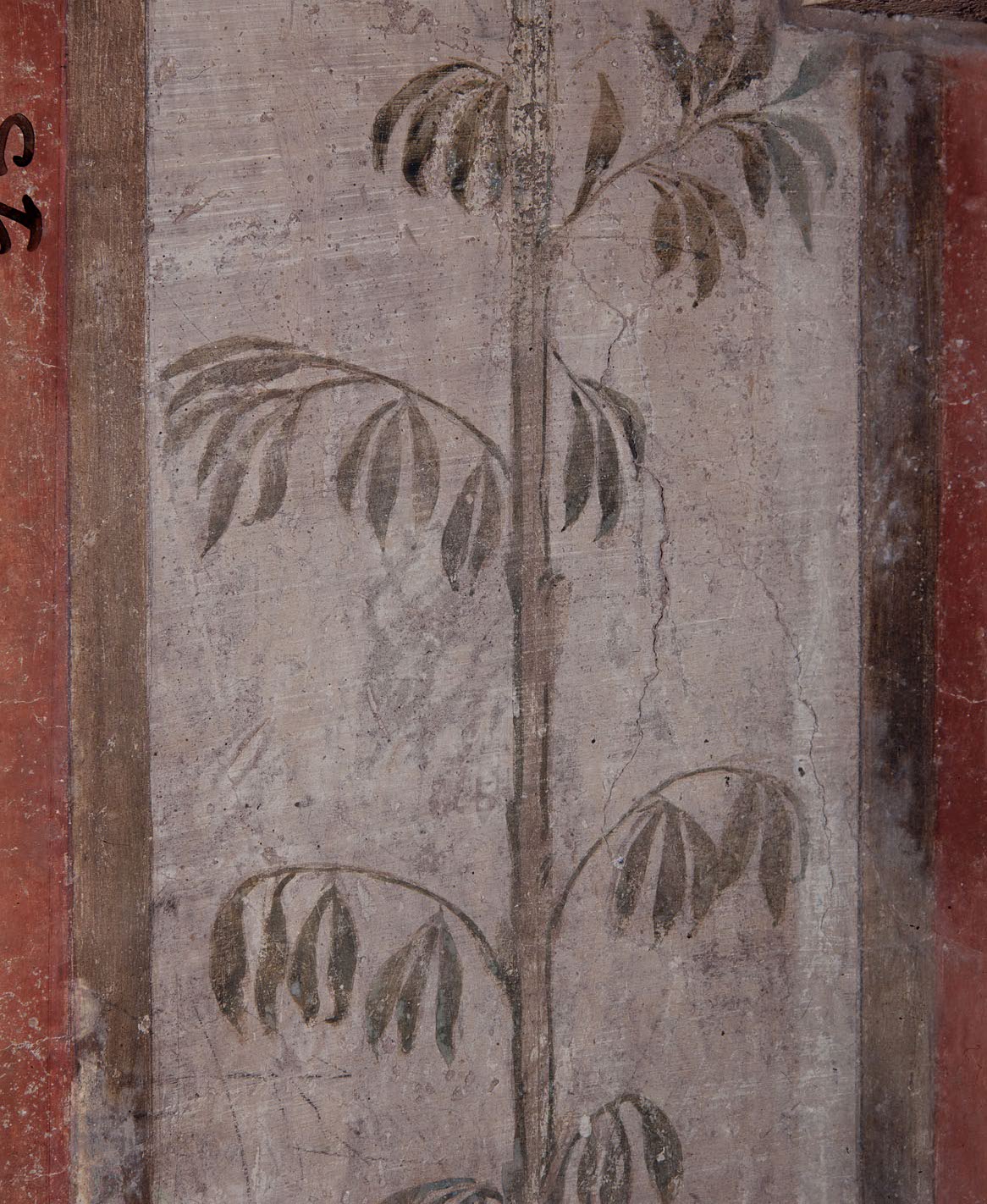 scena allegorica ed elementi decorativi (dipinto murale) di Luzio Romano (e aiuti) (sec. XVI)