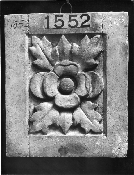 motivo decorativo floreale (calco) di Lelli Oronzio (bottega) (ultimo quarto sec. XIX)
