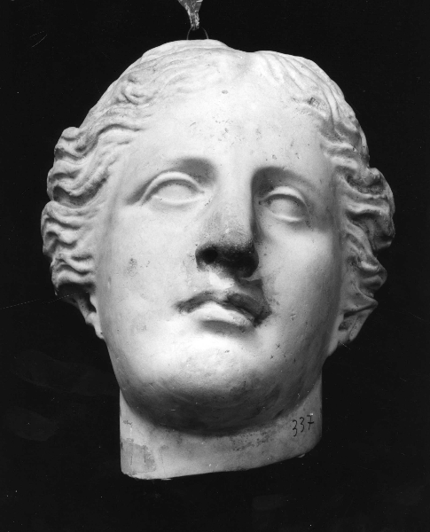 testa di donna (calco di scultura) di Lelli Oronzio (bottega) (ultimo quarto sec. XIX)