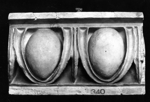 motivo decorativo a ovoli e dardi (calco) di Lelli Oronzio (bottega) (ultimo quarto sec. XIX)