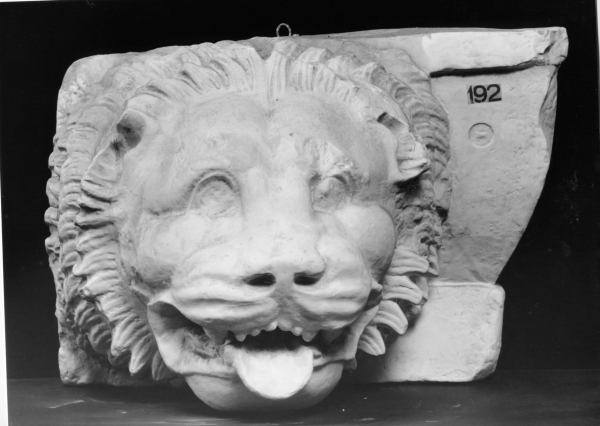 testa di leone (calco) di Lelli Oronzio (ultimo quarto sec. XIX)