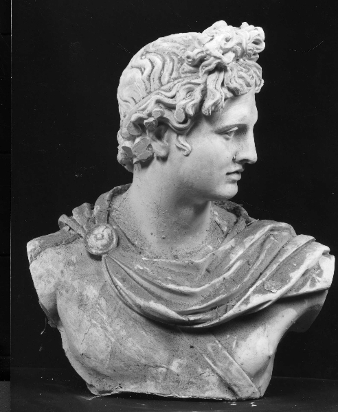 busto dell' Apollo del Belvedere (calco) di Laboratorio della Gipsoteca della Facoltà di Archeologia di Roma (secondo quarto sec. XX)
