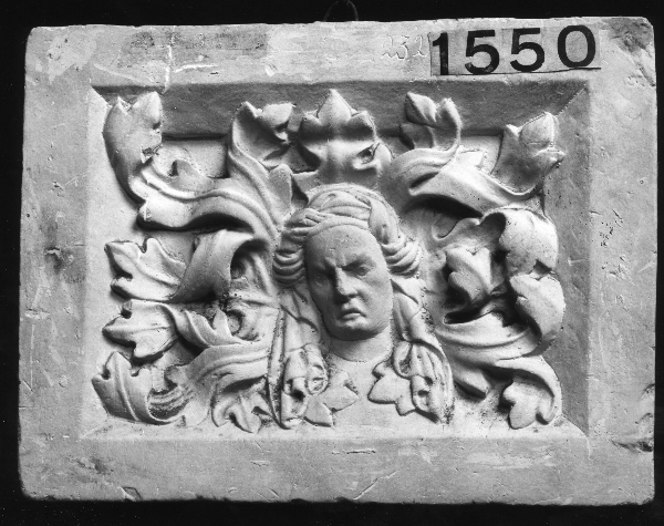 motivo decorativo con testa femminile e foglie d'acanto (calco) di Lelli Oronzio (bottega) (ultimo quarto sec. XIX)