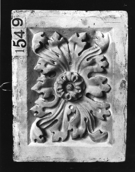motivo decorativo floreale (calco) di Lelli Oronzio (bottega) (ultimo quarto sec. XIX)