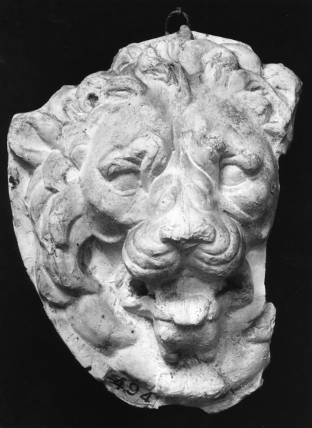 protome leonina (calco) di Lelli Oronzio (bottega) (ultimo quarto sec. XIX)