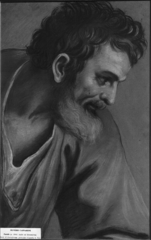 busto maschile (dipinto) di Capparoni Silverio (sec. XIX)