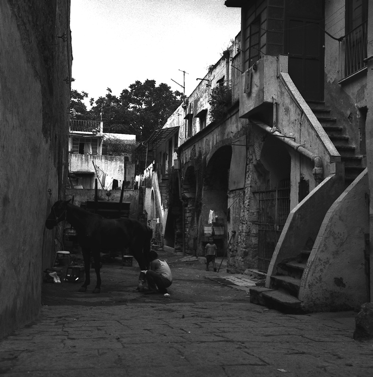 abitazioni - Nocera Inferiore (negativo) di Francesco "Cicciotto" Caso (seconda metà XX)