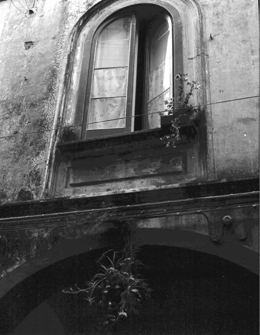 finestre - elementi architettonici (negativo) di Francesco "Cicciotto" Caso (seconda metà XX)