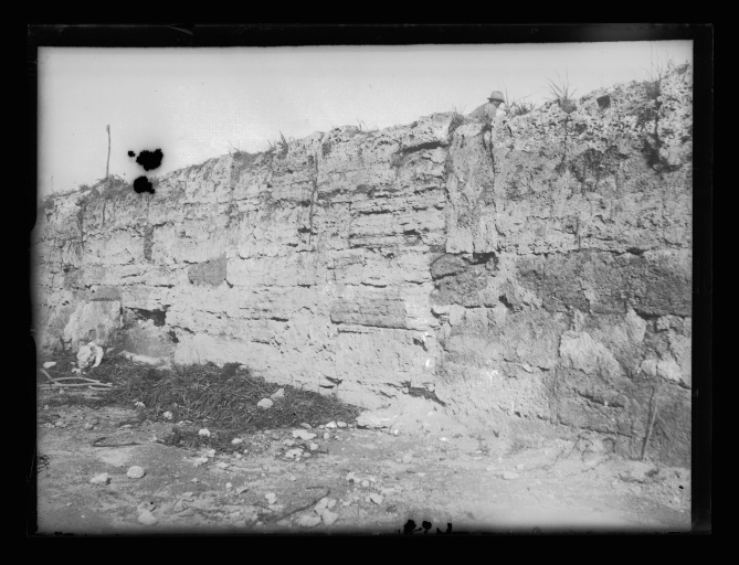 scavi archeologici - Paestum (negativo) di Samaritani Ernesto (XX)