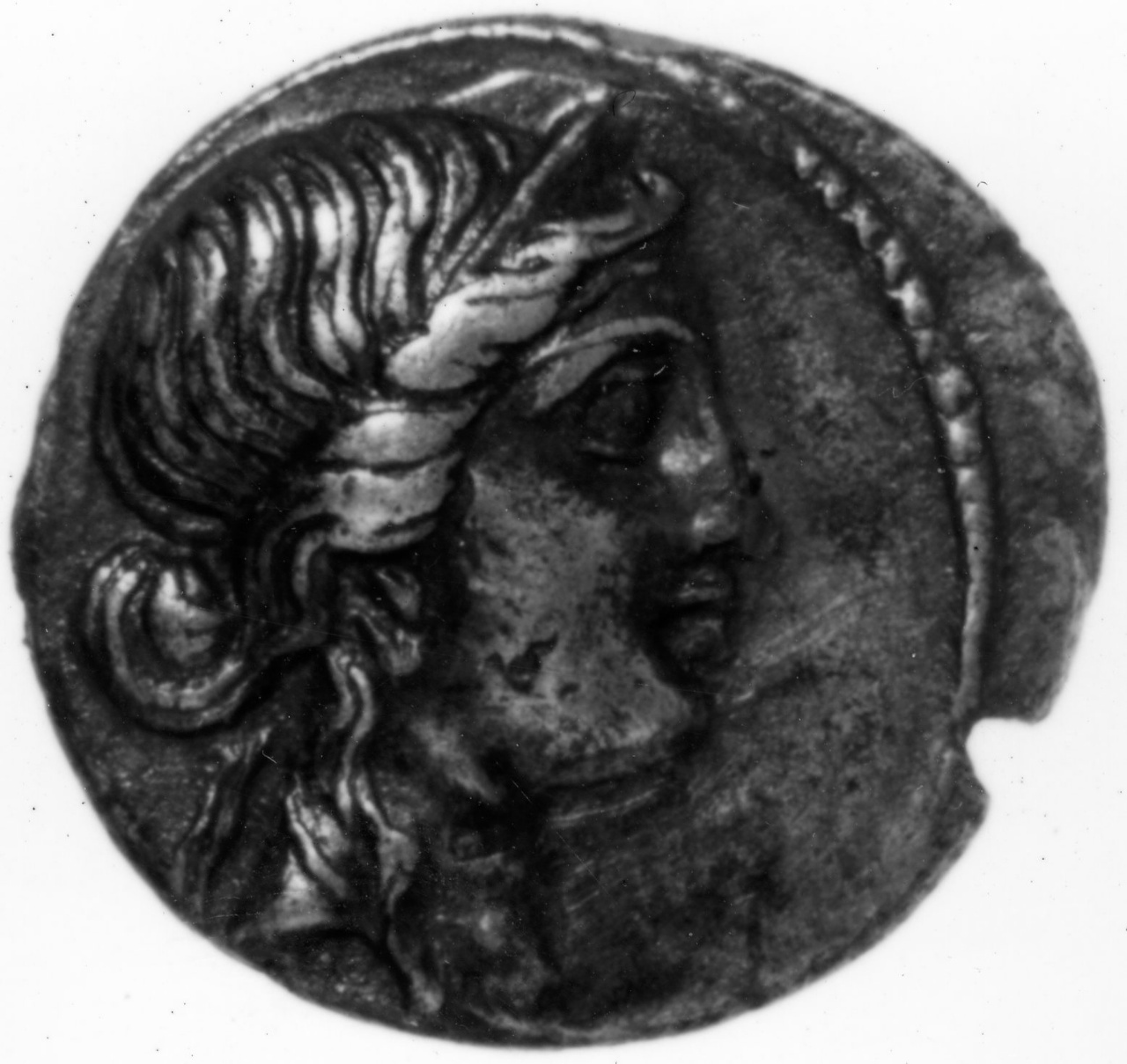 moneta - denario - scuola italica (sec. I)