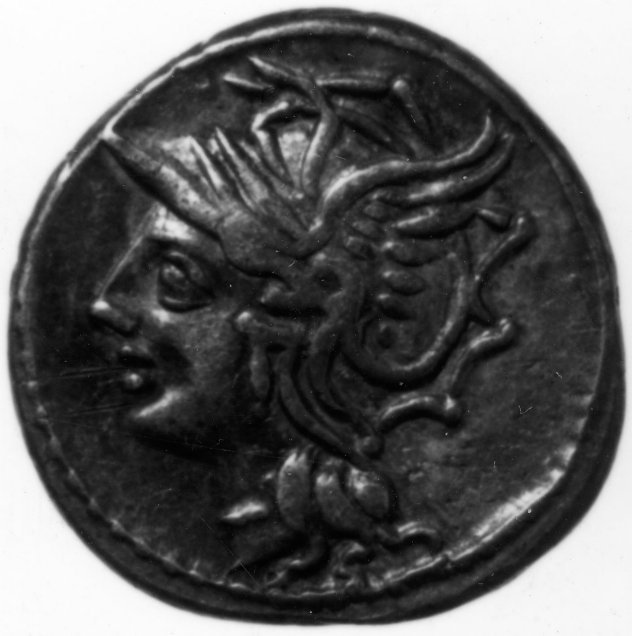 moneta - denario - scuola italica (secc. II/ I)