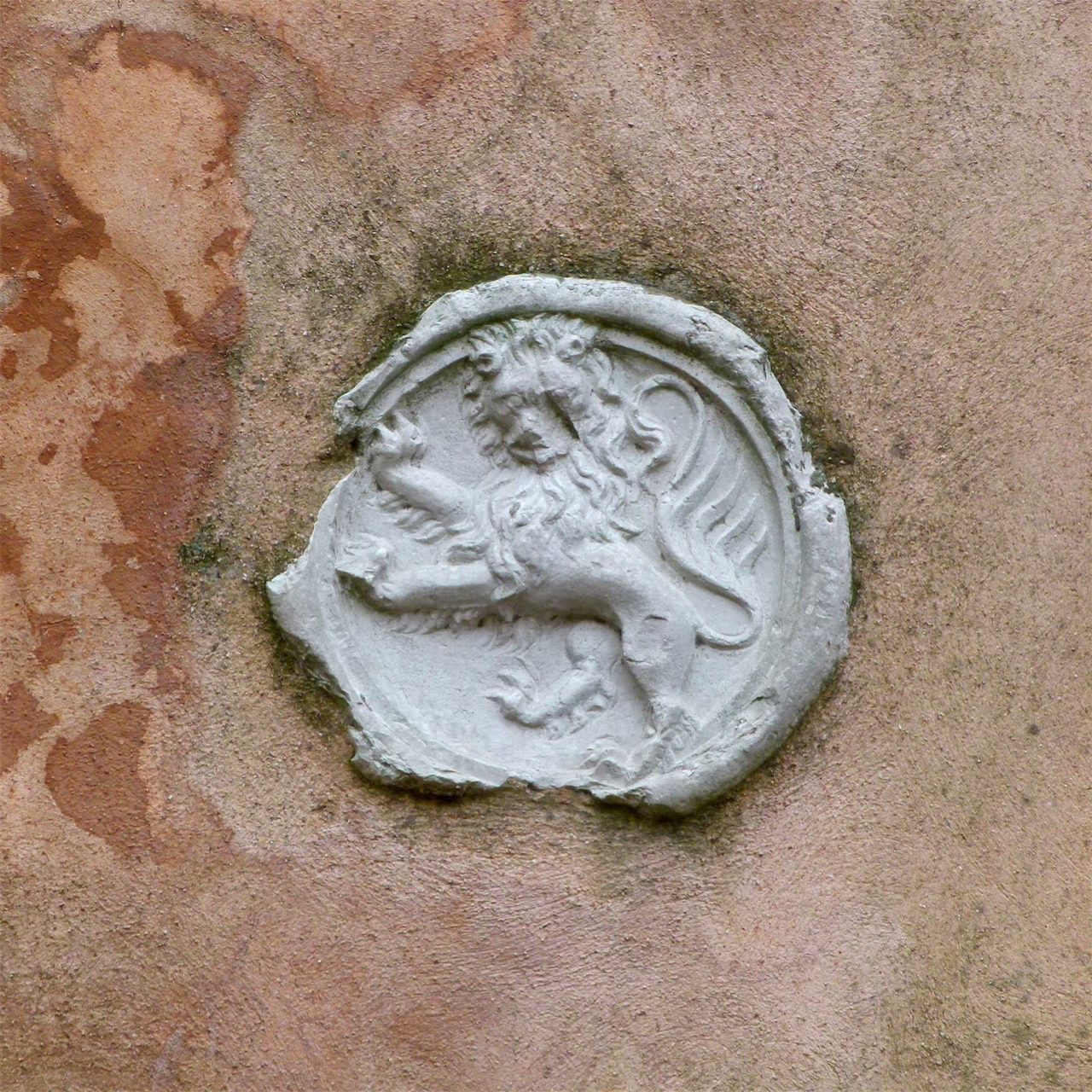 leone rampante (rilievo, opera isolata) - ambito veneziano (fine/ inizio secc. XIX-XX)