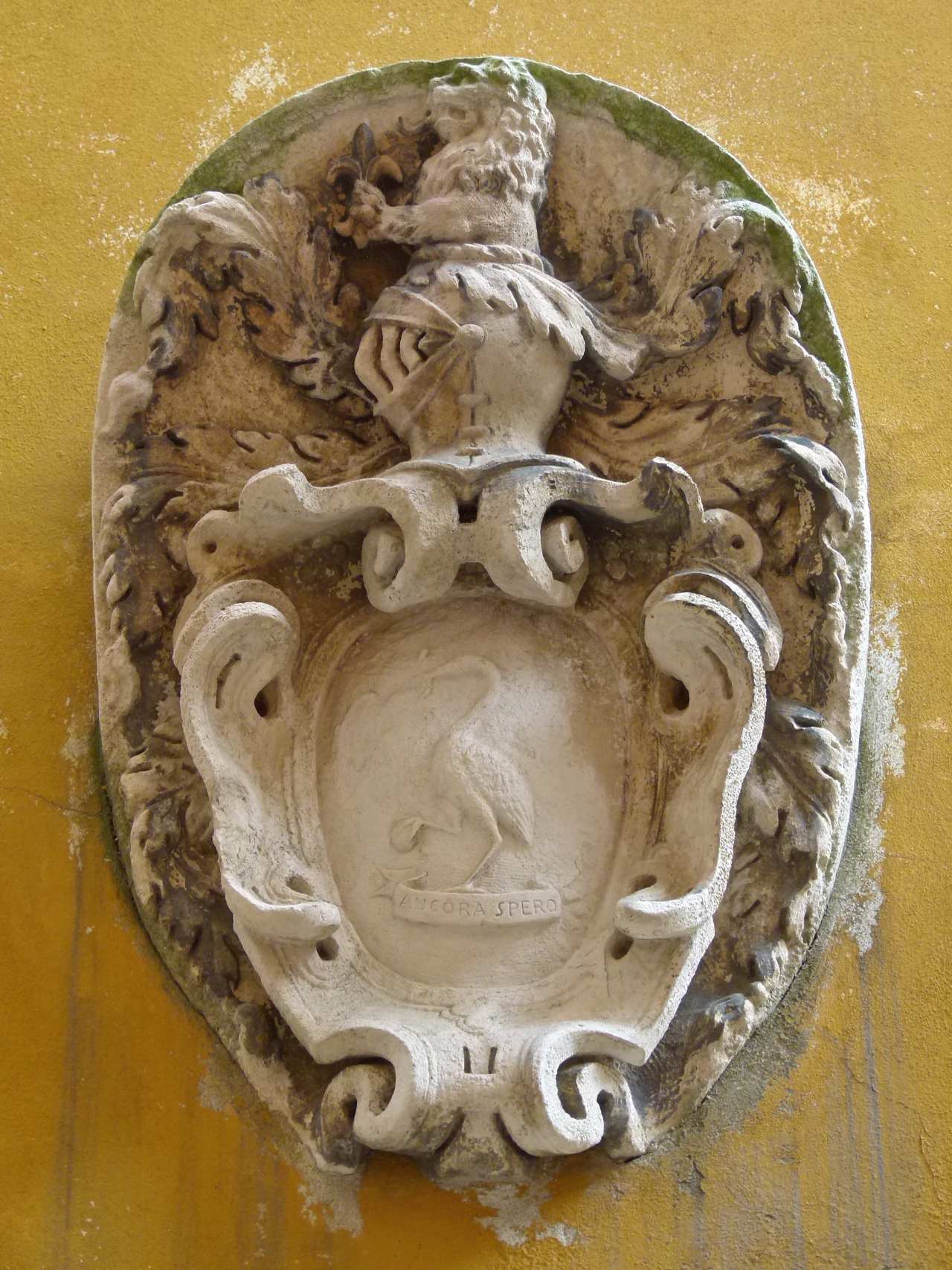 stemma gentilizio della famiglia Cicogna (rilievo, opera isolata) - ambito veneziano (secc. XVI-XVII)
