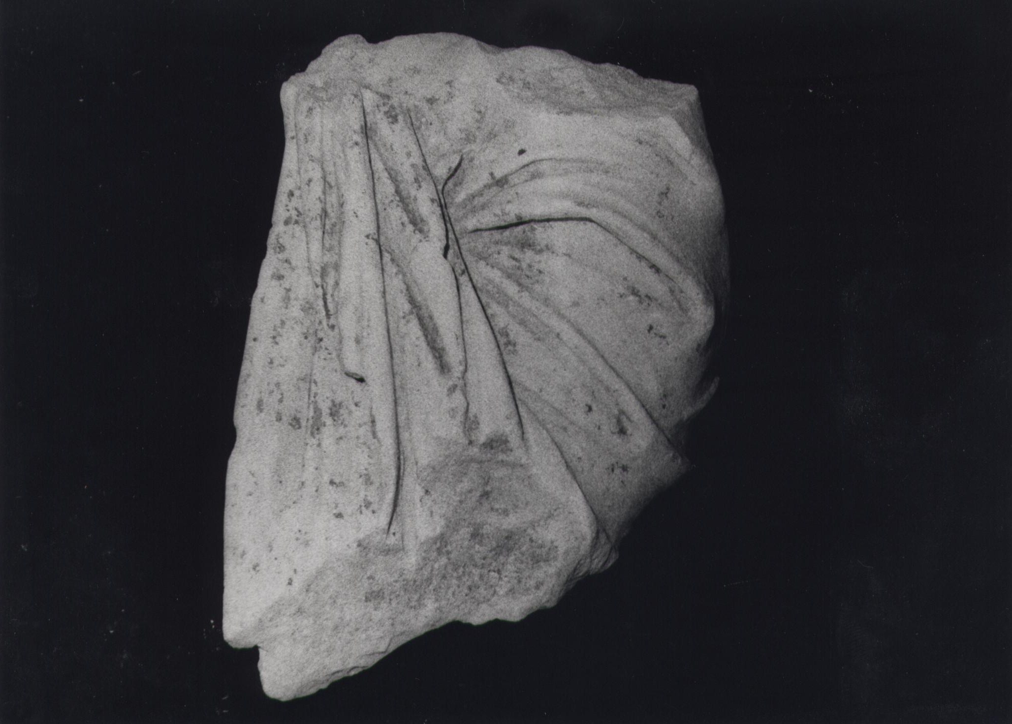 divinità:Venere Pudica (?) (statua/ frammento) (secc. I d.C./ II d.C)