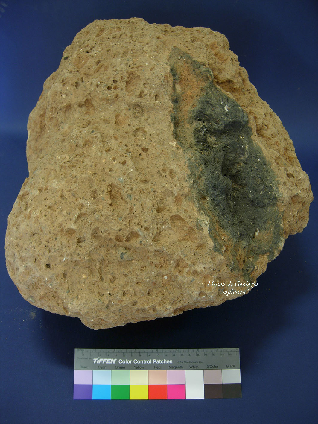 roccia (esemplare)