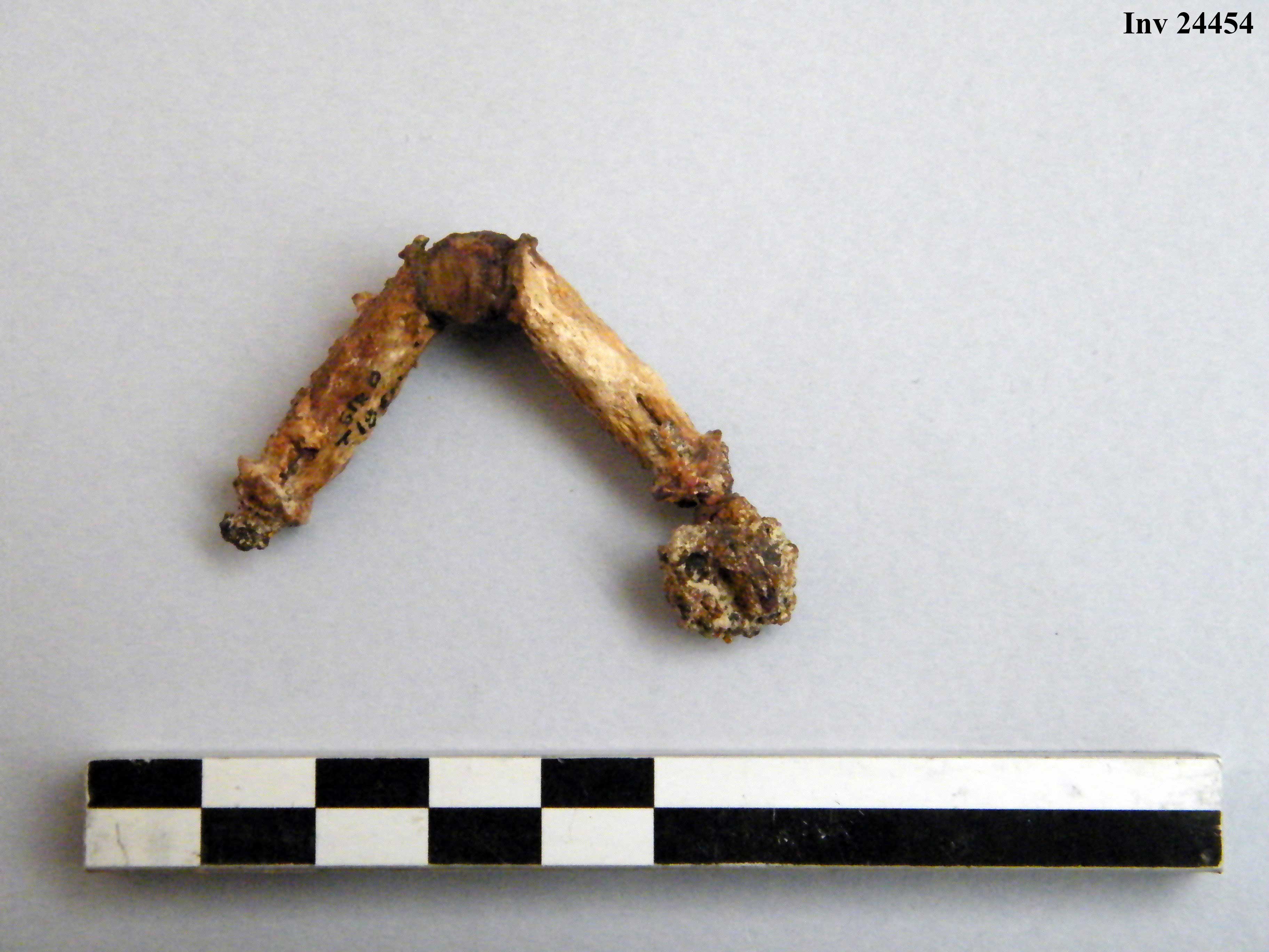 fibula, ad arco rivestito - Piceno IVb (V a.C)