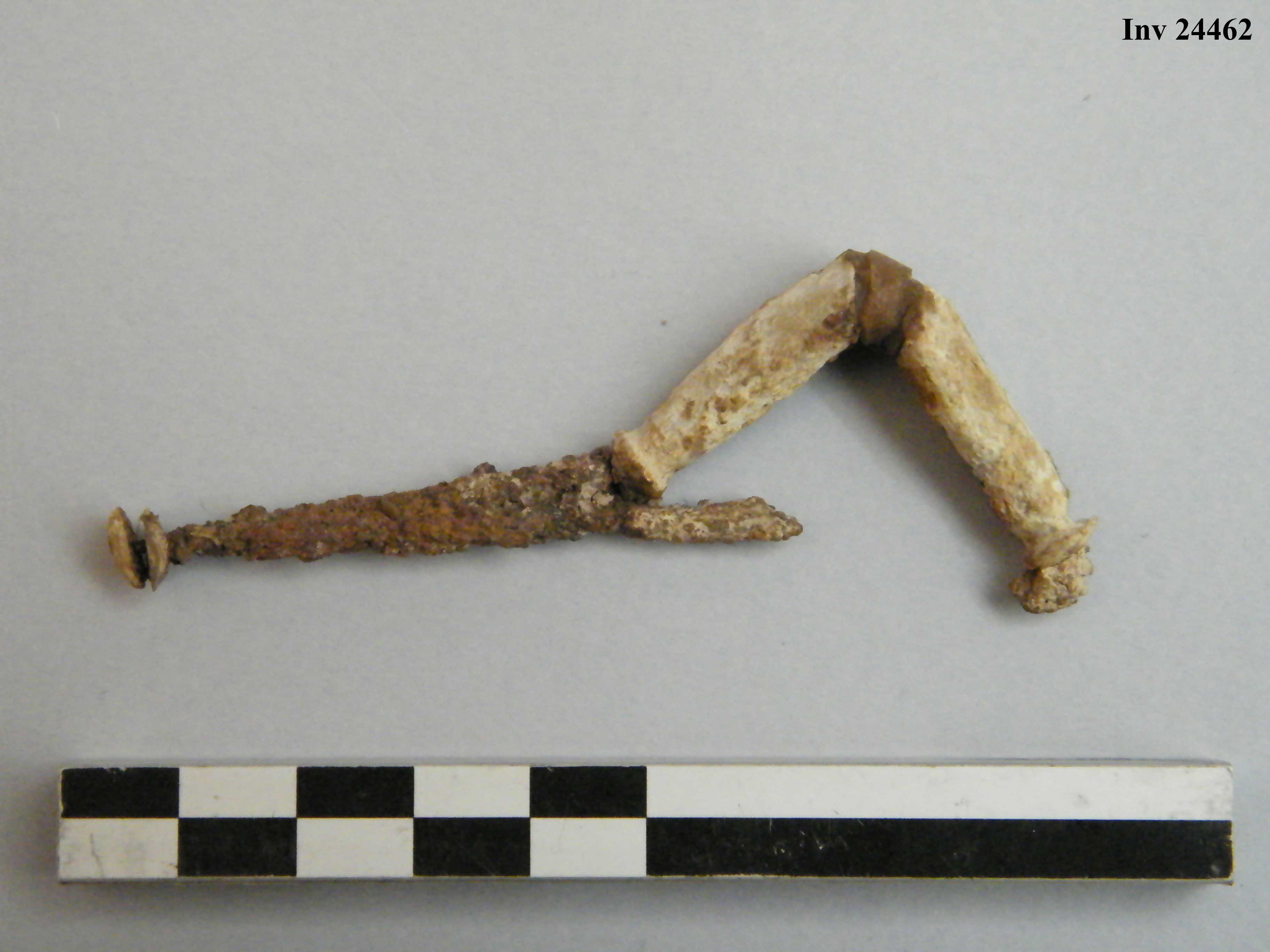 fibula, ad arco rivestito - Piceno IVb (V a.C)